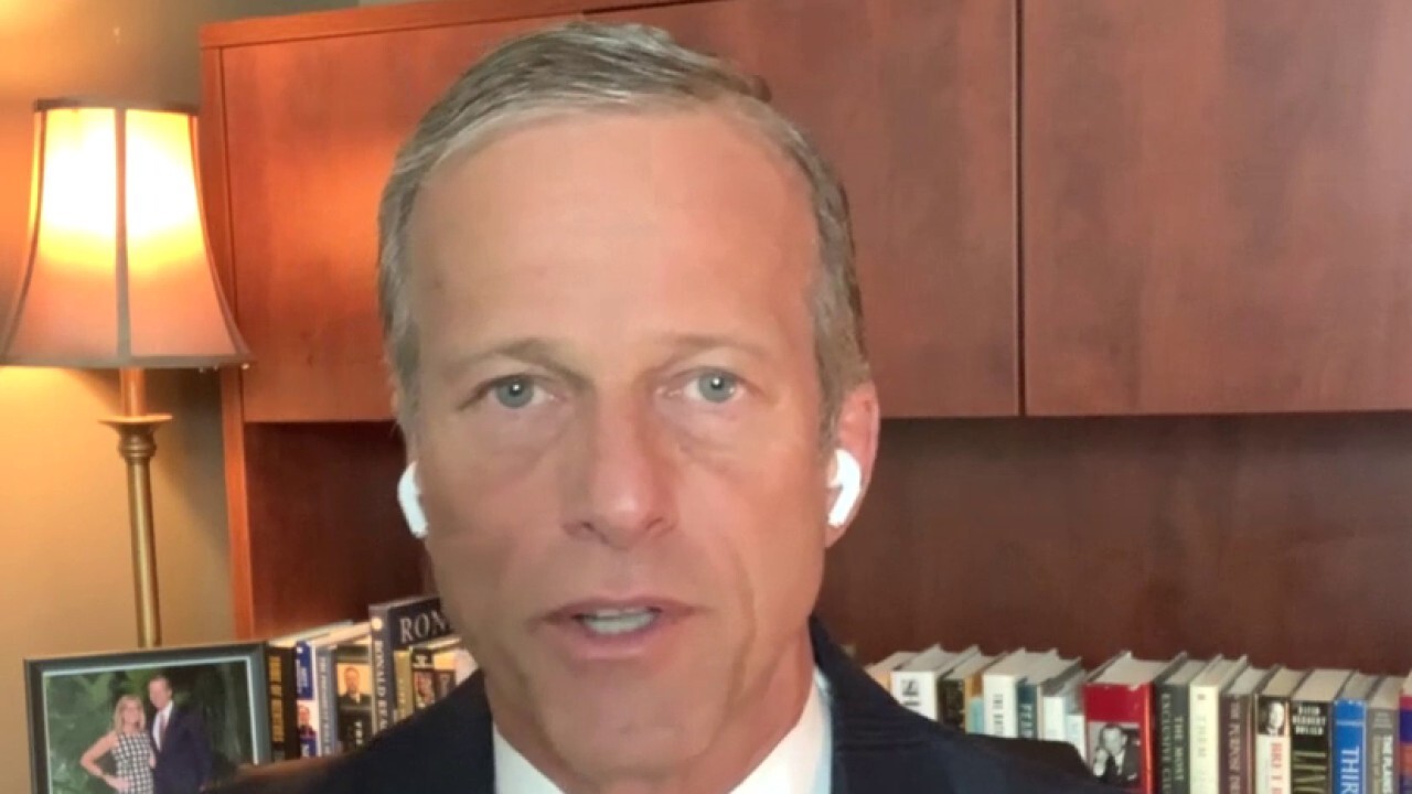 Sen. Thune: Judge Barrett is the exact kind of justice you want to see on Supreme Court
