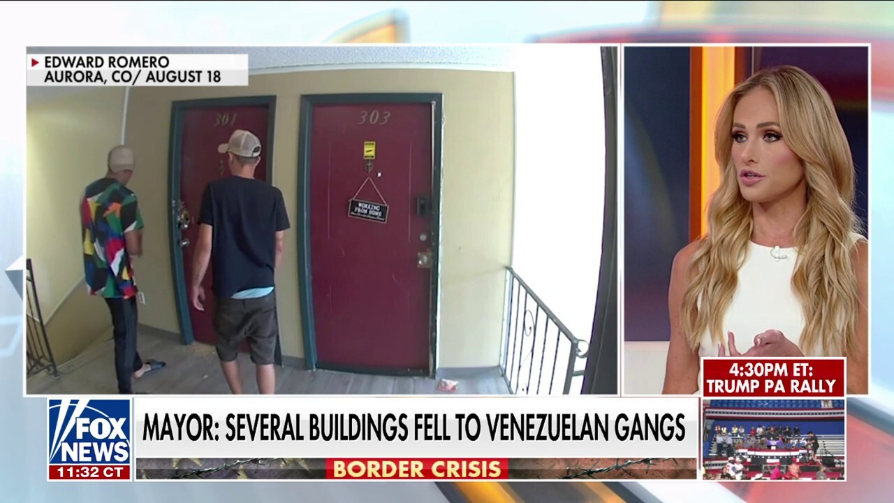 Tomi Lahren on migrant gang taking over Colorado buildings: ‘This is about to get so much worse’