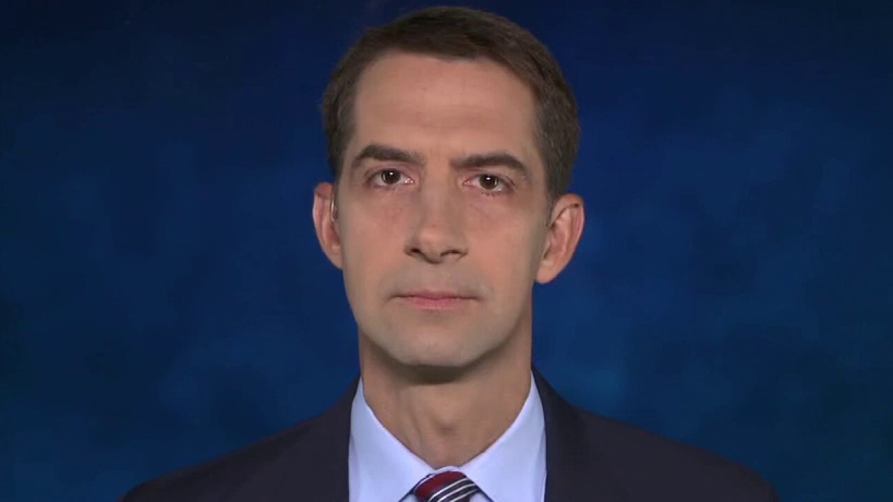 Sen. Cotton: We can not tolerate violence, rioting, looting