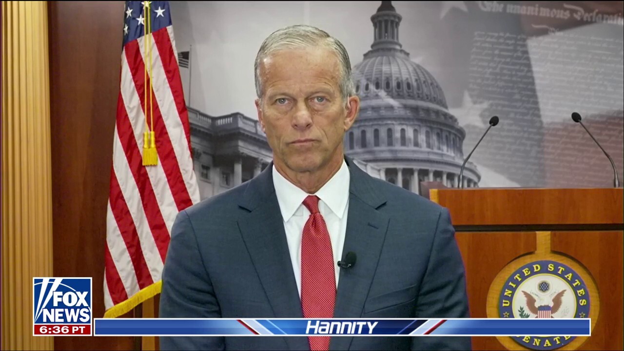 Senate Majority Leader John Thune discusses President Donald Trump’s involvement with the Israel-Iran conflict on ‘Hannity.’