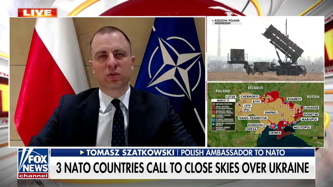 Nato Allies Should Step Up Efforts To Help Protect Ukraine Polish Ambassador Fox News Video