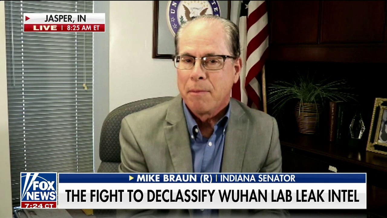 Biden will be in a 'real political vice' if he chooses to veto COVID-19 bill: Sen. Mike Braun