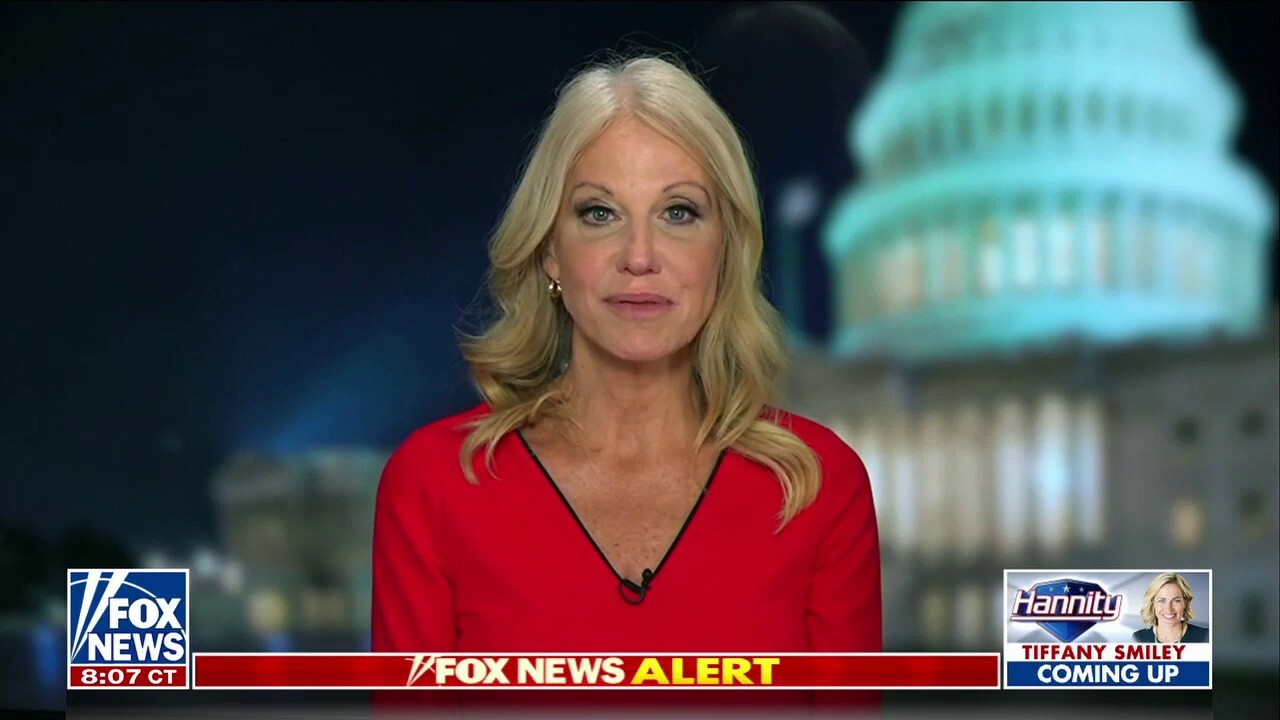 Kellyanne Conway: Democrats need to be held accountable this November