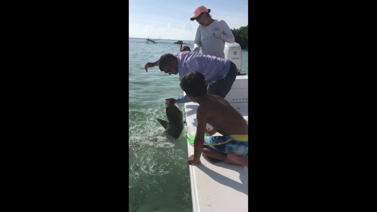 Florida dad bitten by shark in social media video