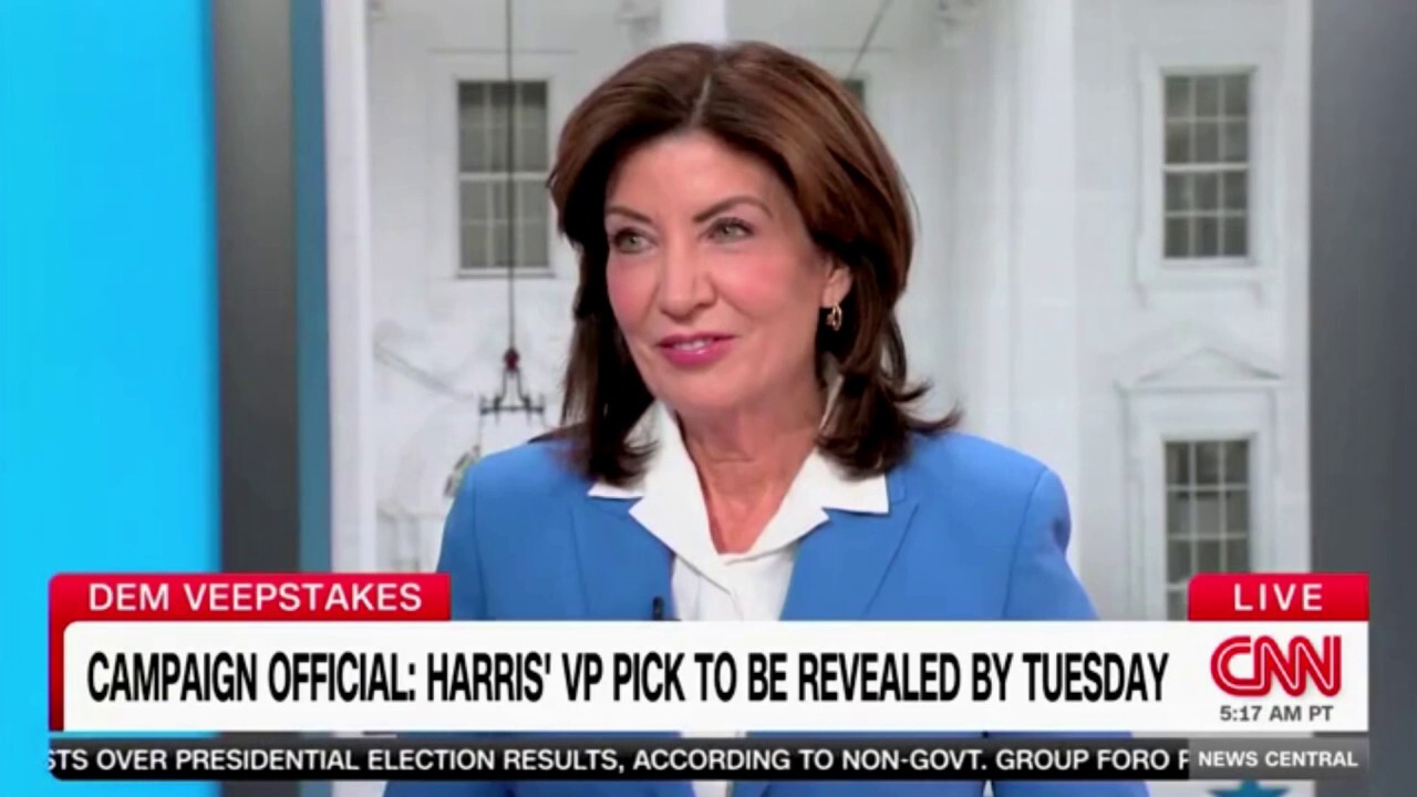 CNN host asks Hochul if she's bothered by Kamala Harris' VP short-list being 'all White men'
