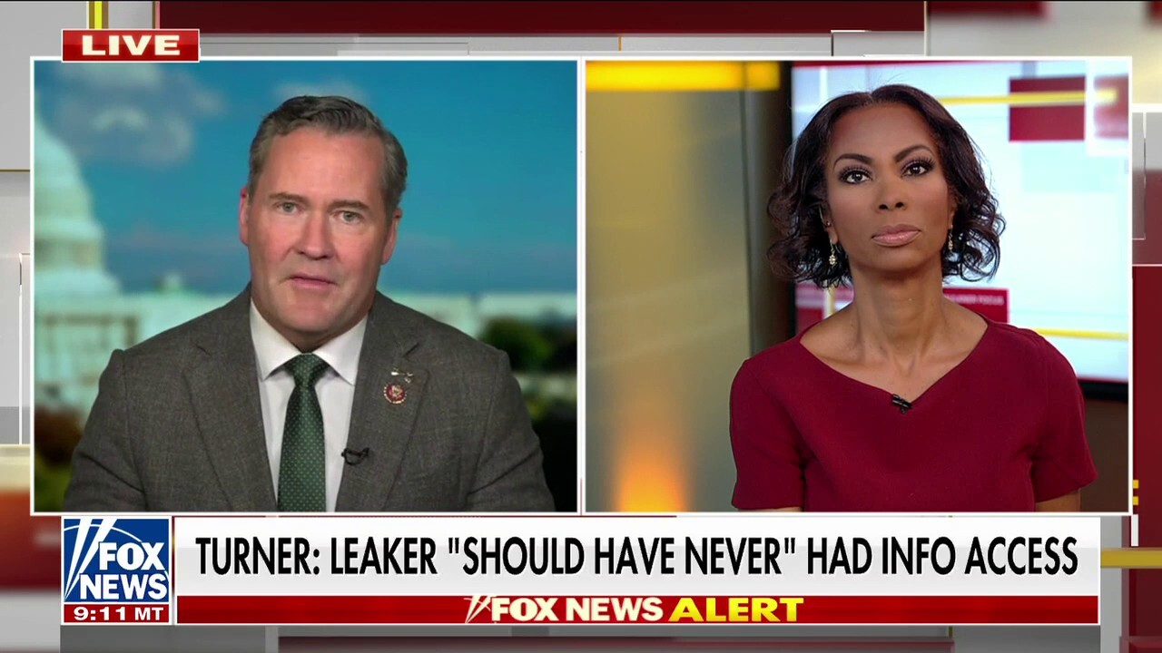 Rep. Mike Waltz issues warning on intel leak: 'Haven't learned our lessons'