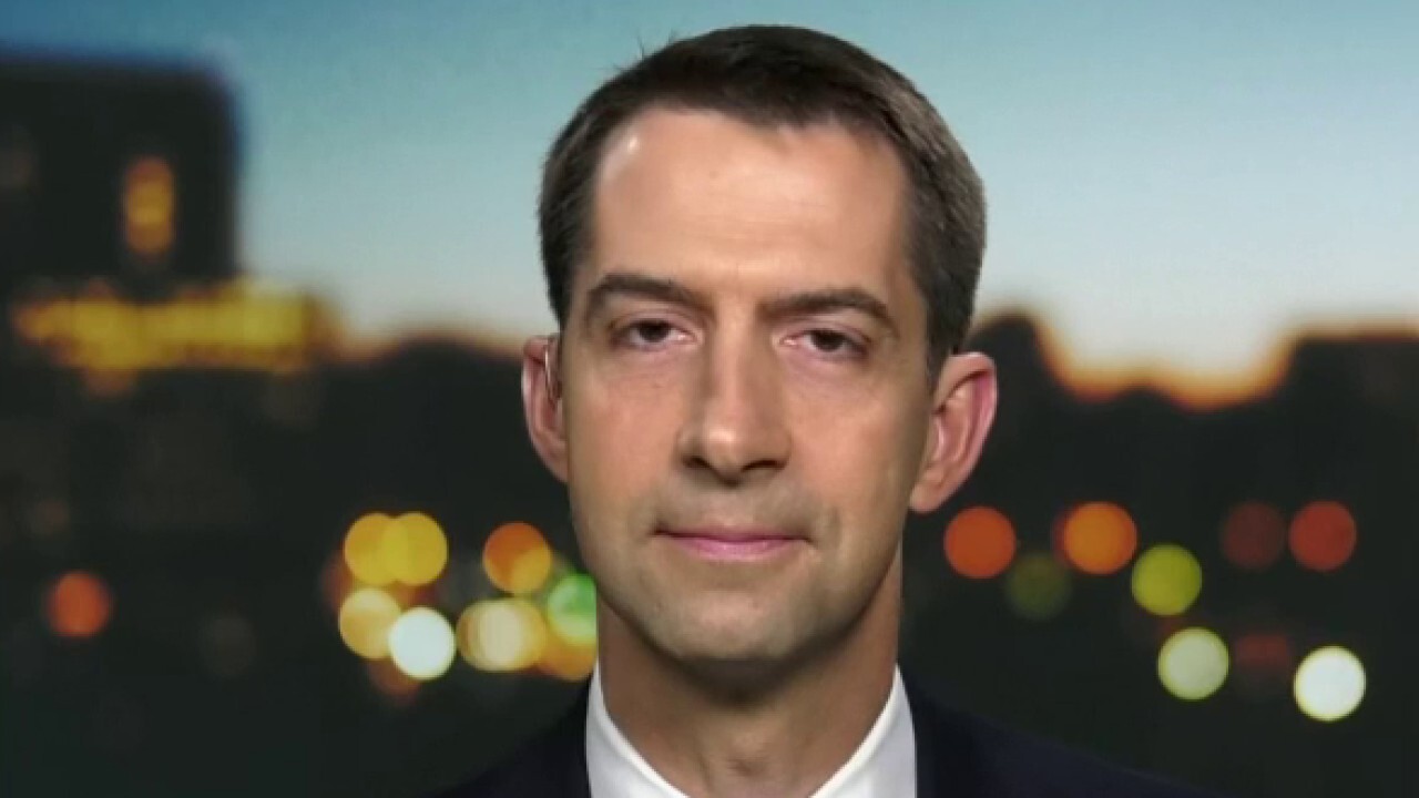 Sen. Cotton: China could've prevented coronavirus from spreading