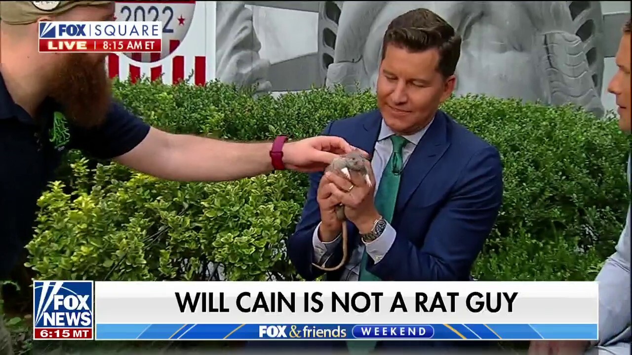 Will Cain faces his fear of rats