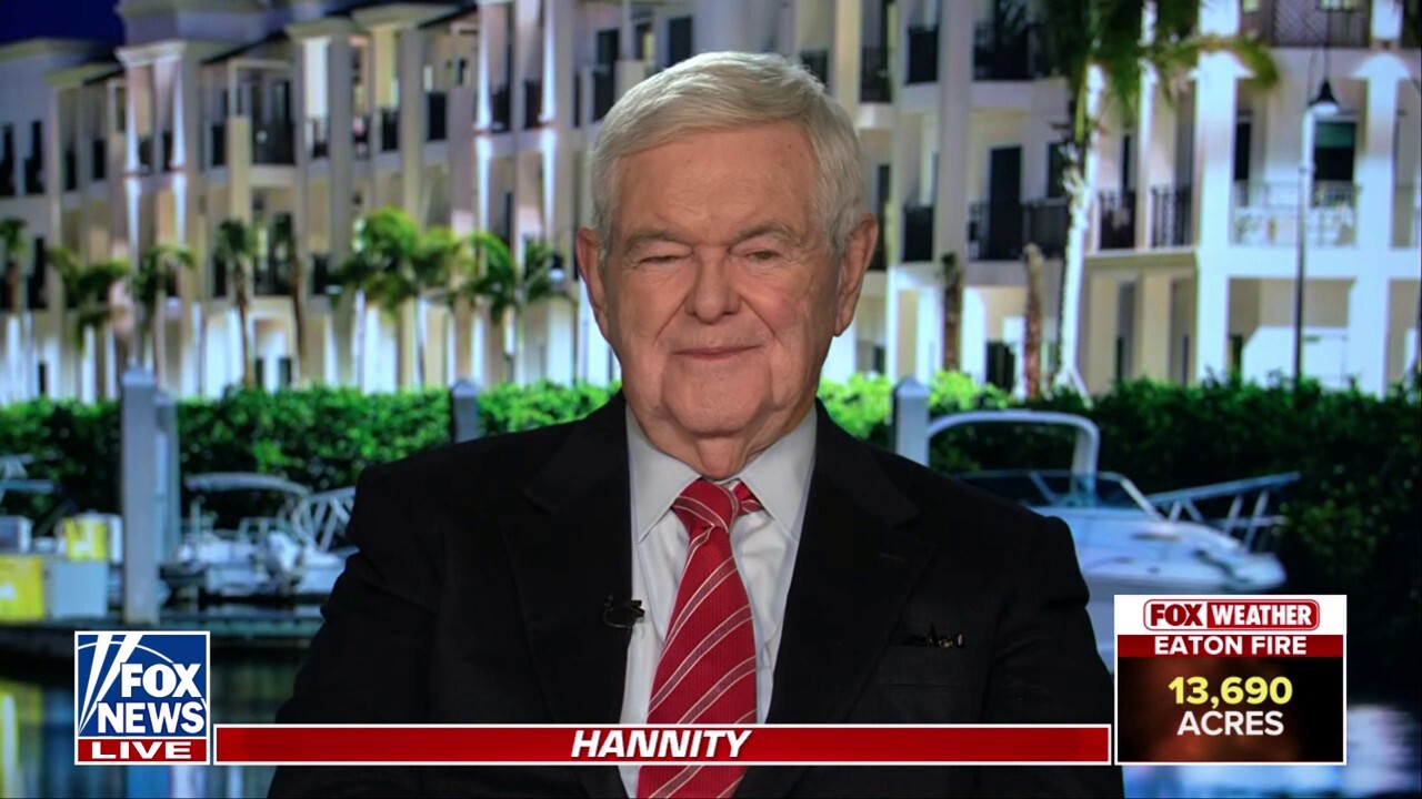  Former House Speaker Newt Gingrich evaluates the response of California politicians to the wildfires on 'Hannity.'