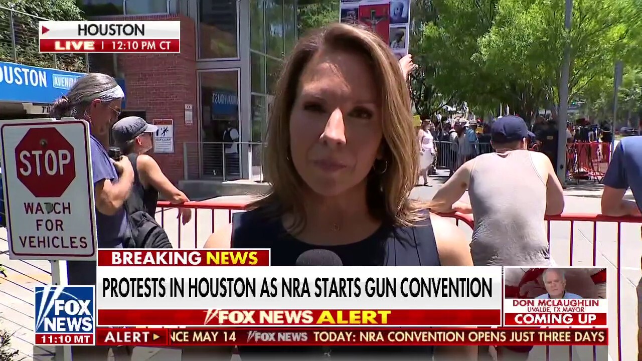 Protesters gather in Houston as NRA convention begins