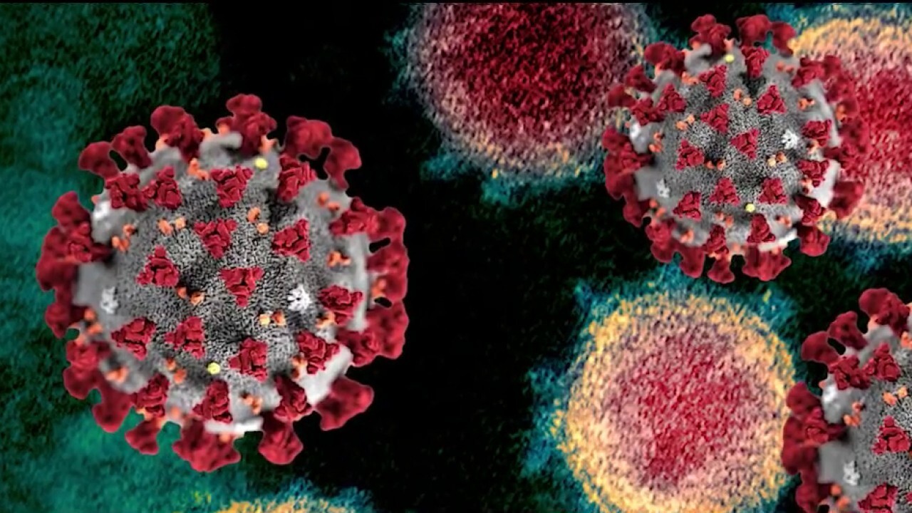 Feds prepare for possible coronavirus vaccine in October