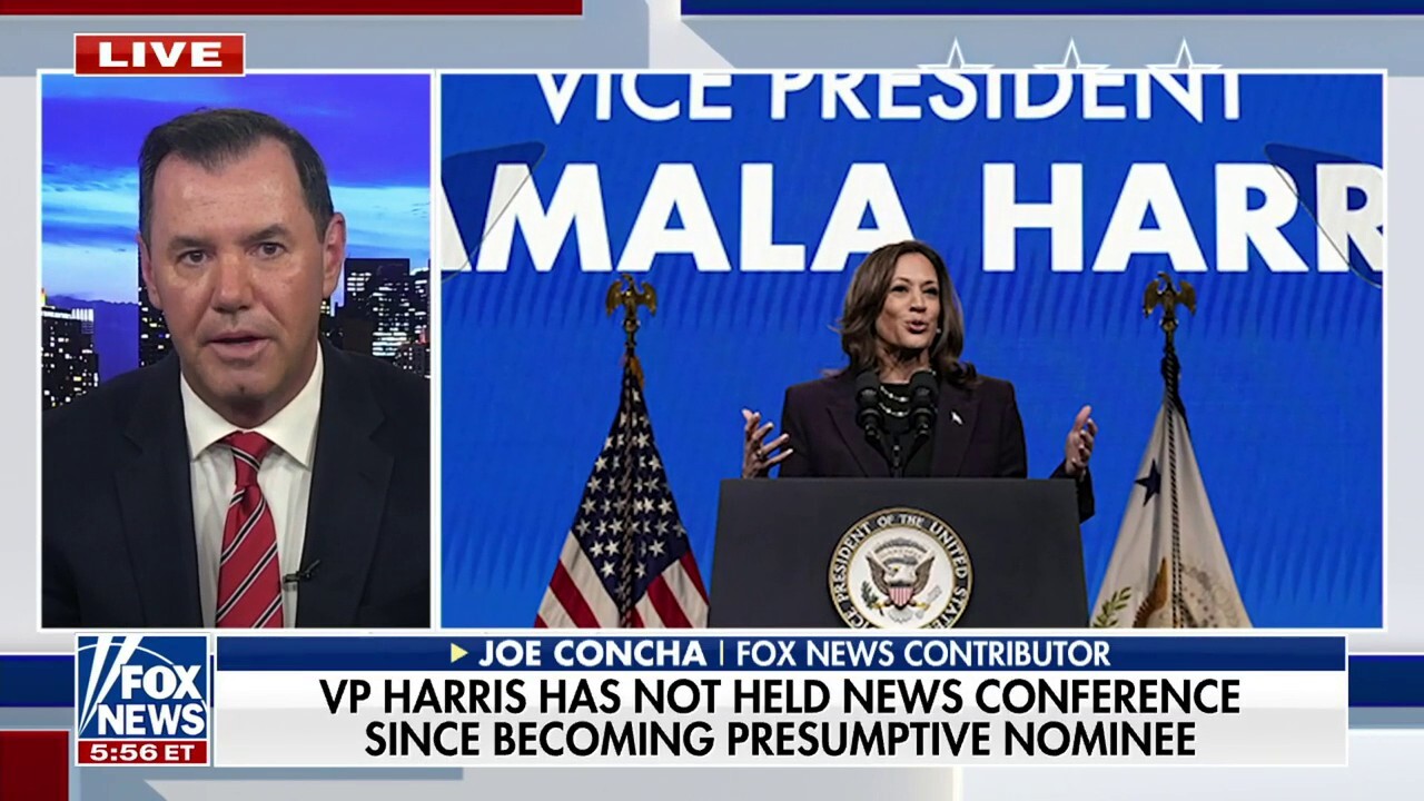 Kamala Harris slammed for avoiding press since becoming presumptive nominee: 'Plead the fifth'