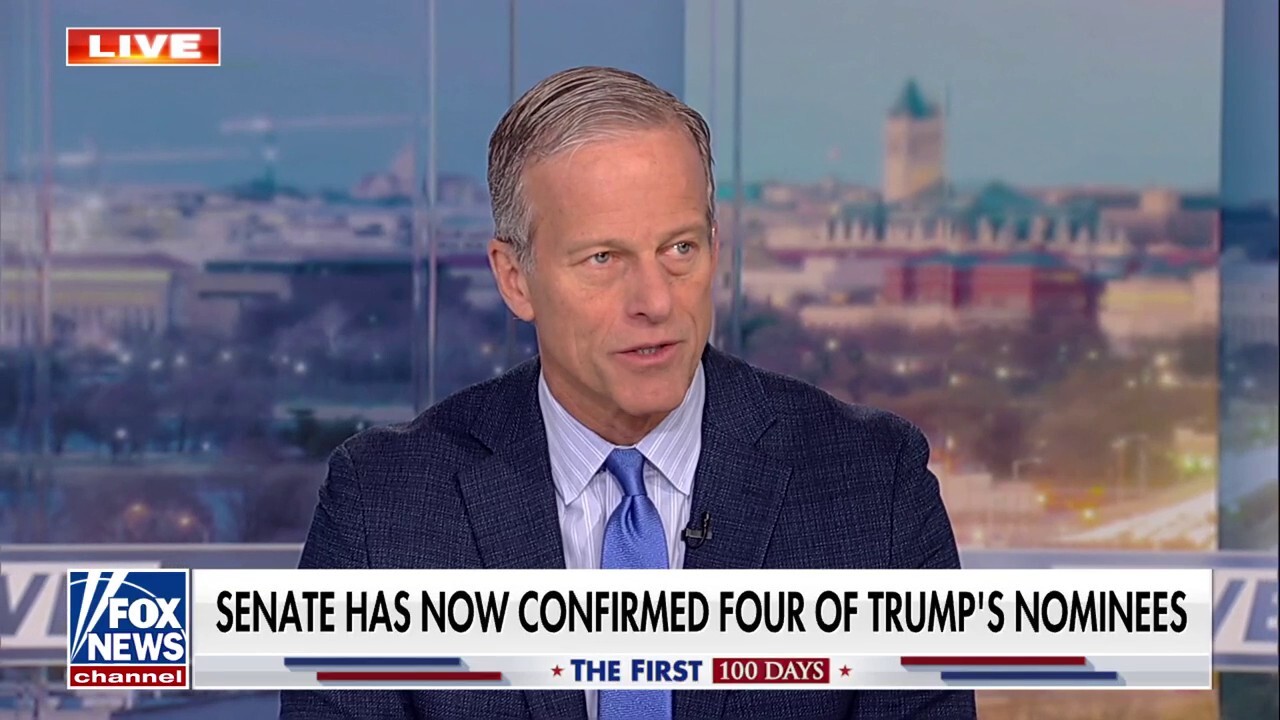 Senate will ‘keep grinding through’ to get Trump team confirmed, John Thune says