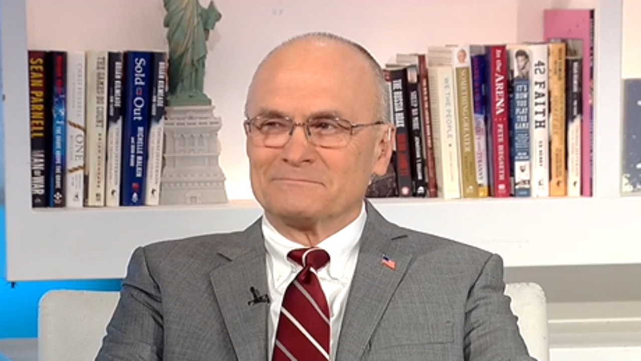 Andy Puzder: Trump's 'incredible' India trip became a 'significant event'
