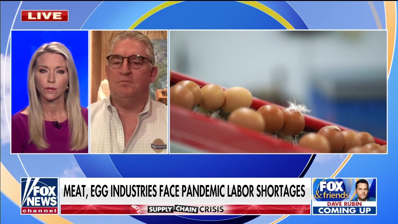 Labor shortages, ‘cracks’ in the supply chain may lead to egg scarcity: Egg Innovations CEO