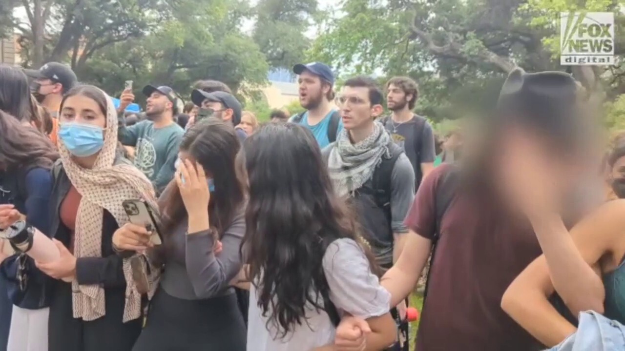 Anti-Israel protesters at UT Austin shout 'pigs go home' as state troopers move in to clear demonstrations