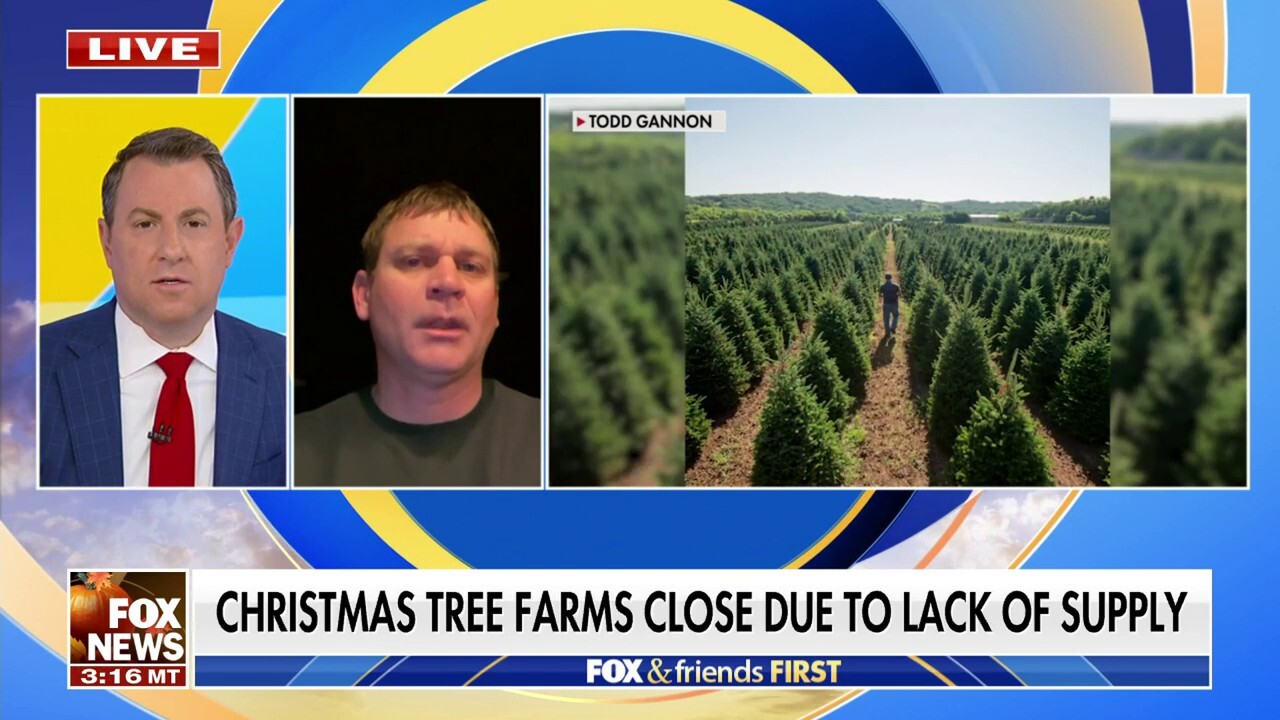 Christmas tree farms battling lack of supply, higher prices 