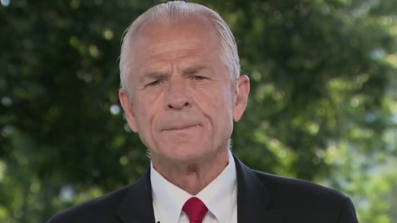 Peter Navarro: ‘Chinese Communist Party needs to come clean about coronavirus’ 