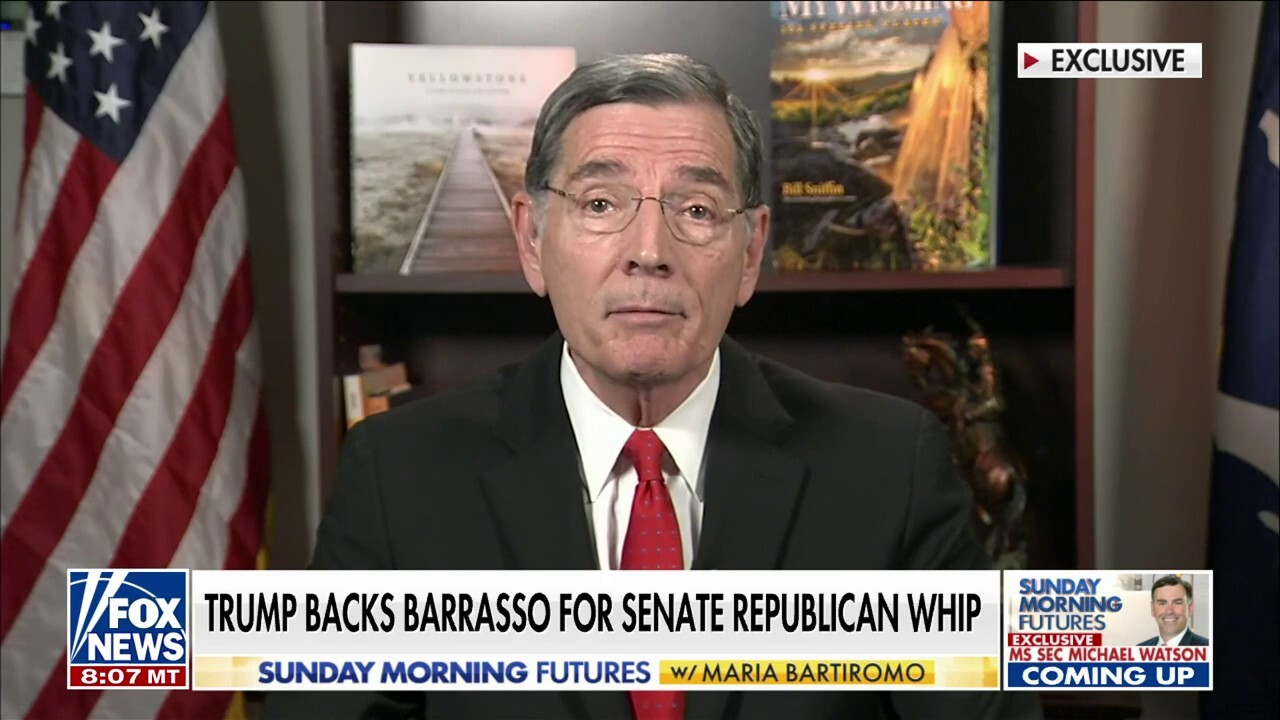 The Democrats are a party of 'an open border and high prices': Sen. John Barrasso