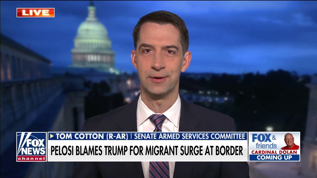 Sen. Tom Cotton slams Nancy Pelosi for blaming Trump for border crisis