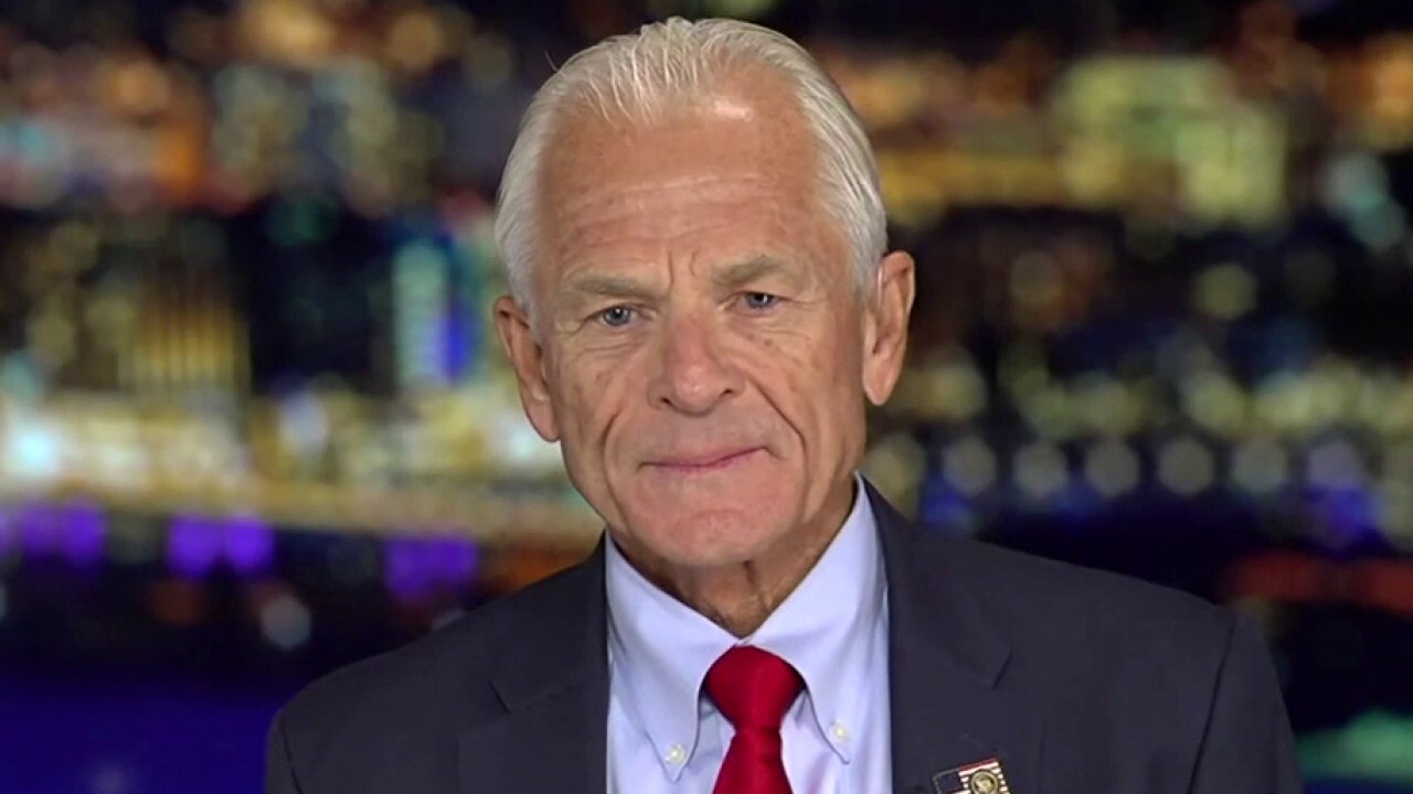 Peter Navarro shares with Hannity DOJ's reason given for arrest