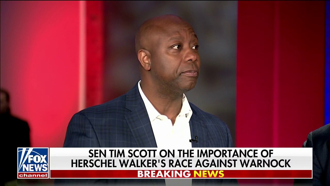 Sen Tim Scott On Importance Of Georgia Senate Race Days Away From Putting The Country On 8976