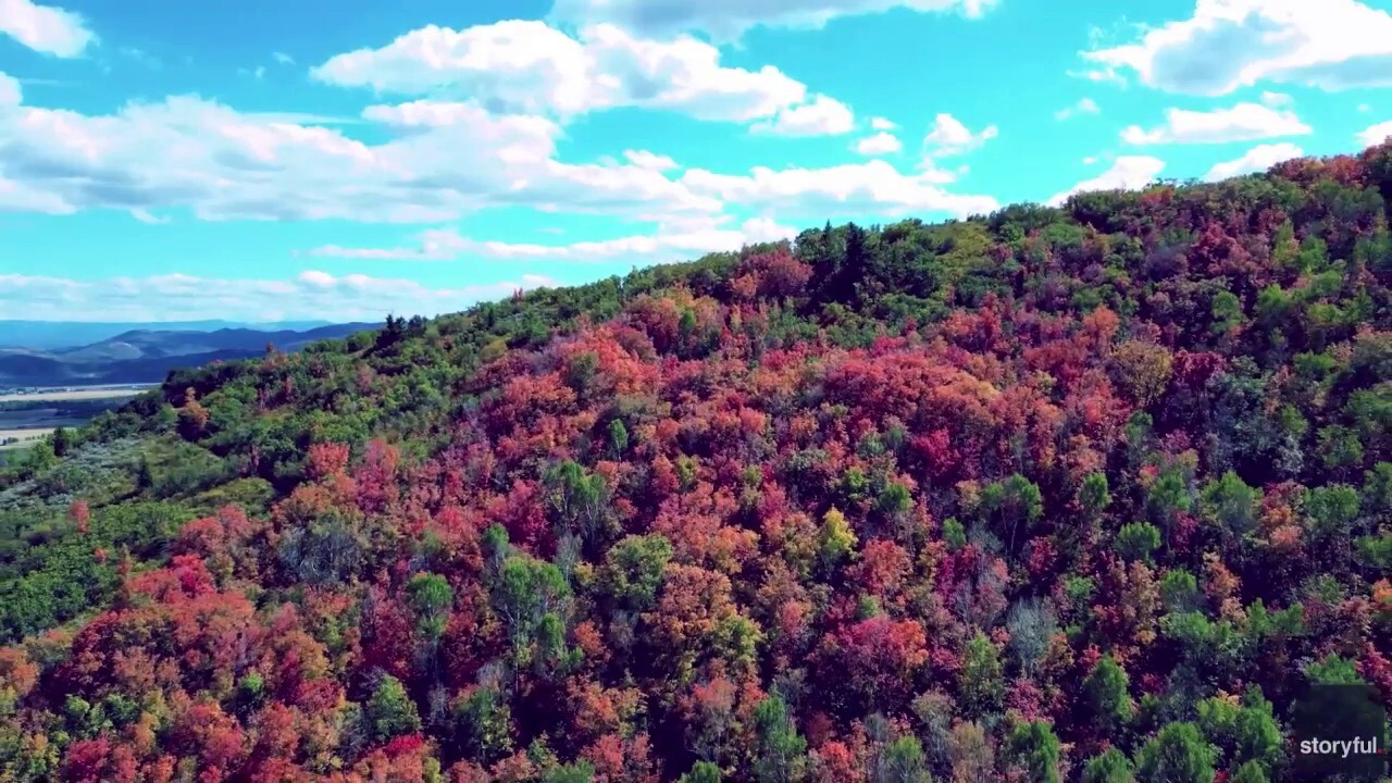 Fall foliage arrives in popular town as the seasons begin to change