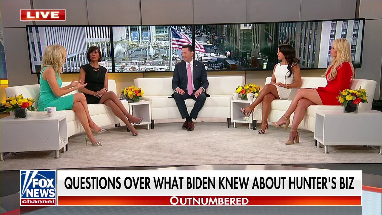 McEnany: Remarkable lack of curiosity from the media on Hunter Biden 