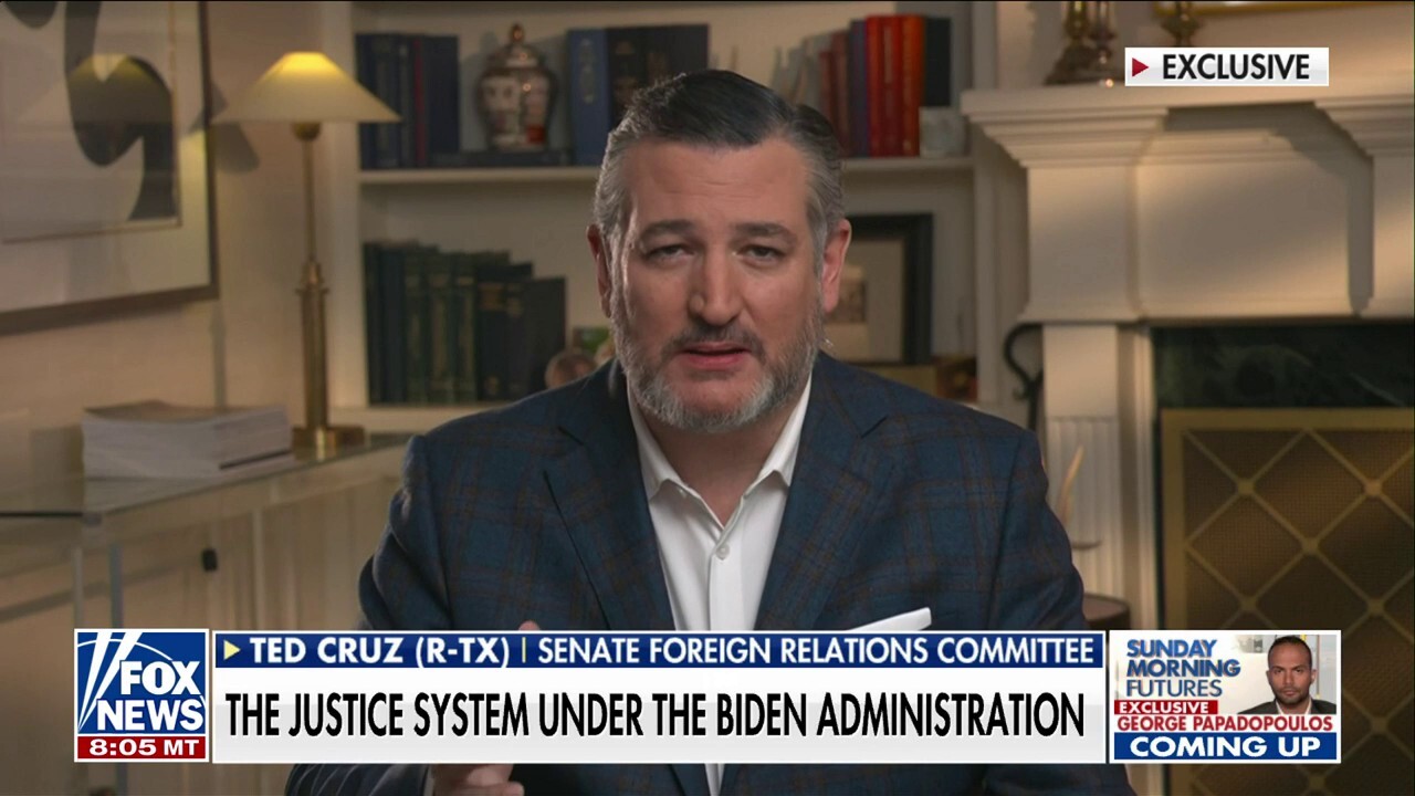 Ted Cruz slams Democrats for weaponizing justice system against Trump to stay in power: 'Frightening and sad'