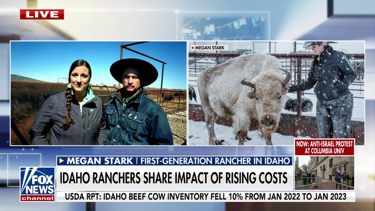 Idaho ranchers report 'drastic' increase in costs over past year and a half