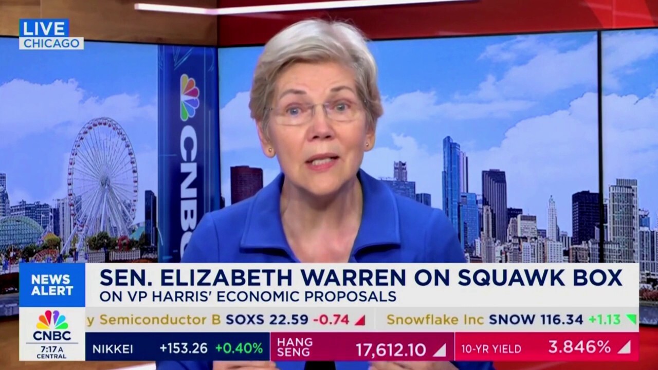 Sen. Warren clashes with CNBC host over Harris' price-control proposal