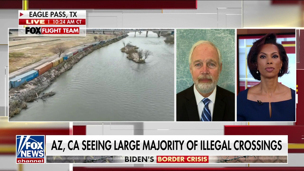 Sen. Johnson on illegal immigration crisis: 'Democrats are destroying this country' 