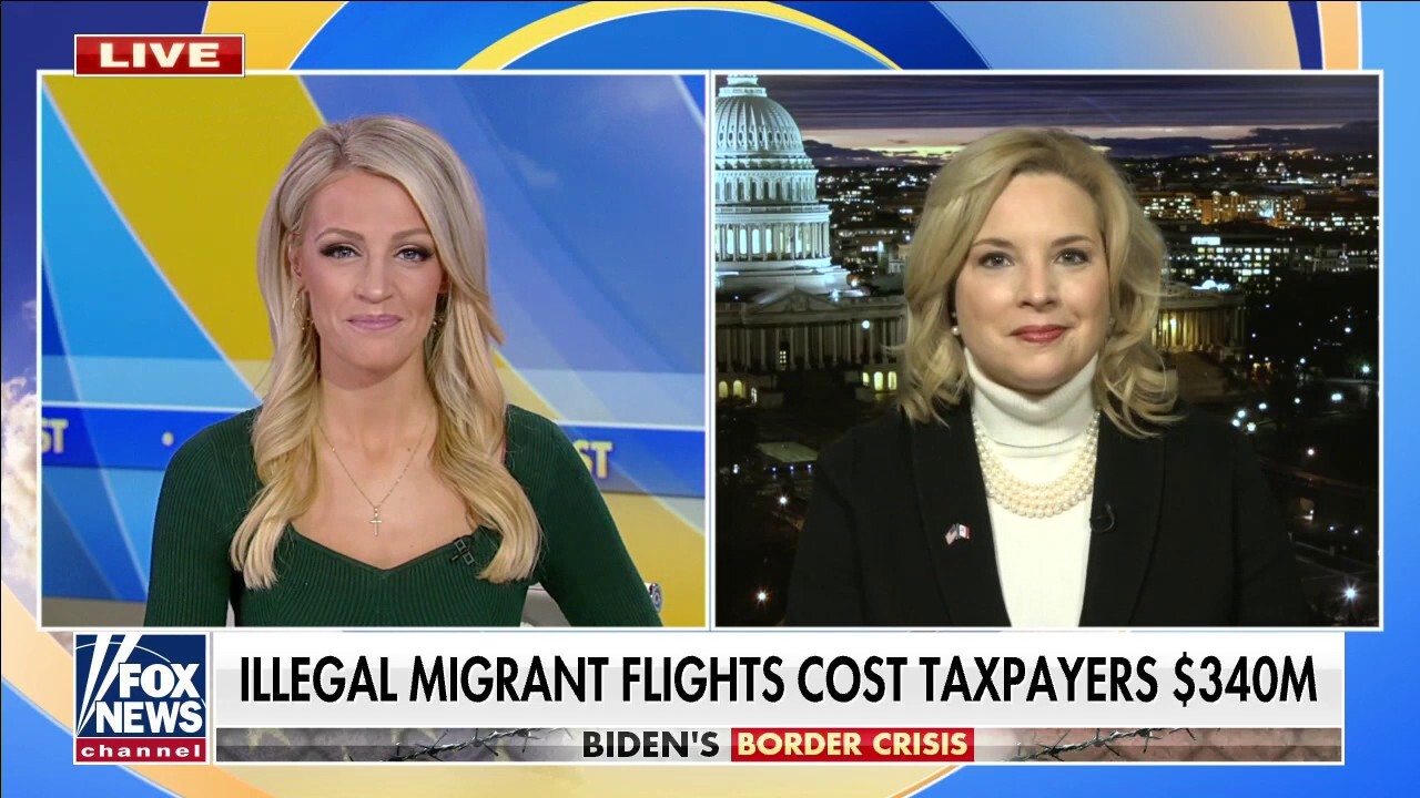 Flights for illegal immigrants cost taxpayers $340 million