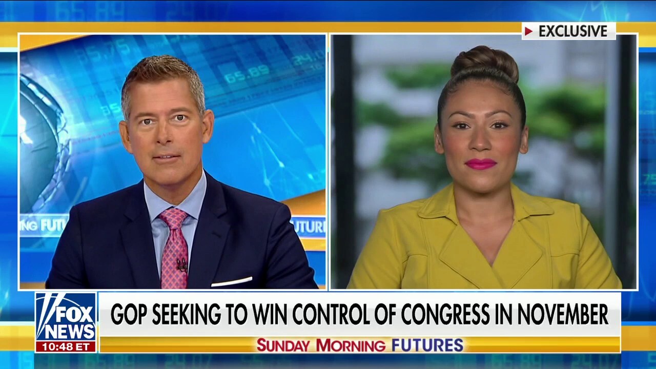Virginia congressional candidate slams Democrats for trying to 'distract the voters from their failures'
