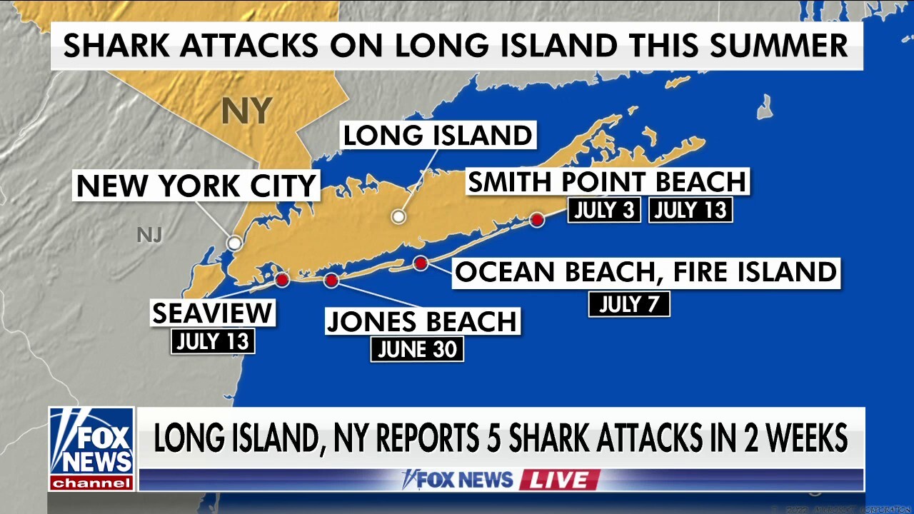 NY beaches see rise in shark attacks