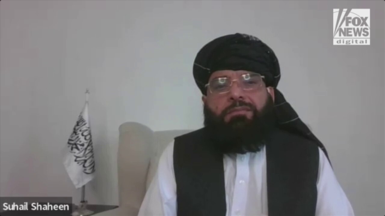 Taliban spokesman Suhail Shaheen defends Taliban policies in a Fox News Digital interview