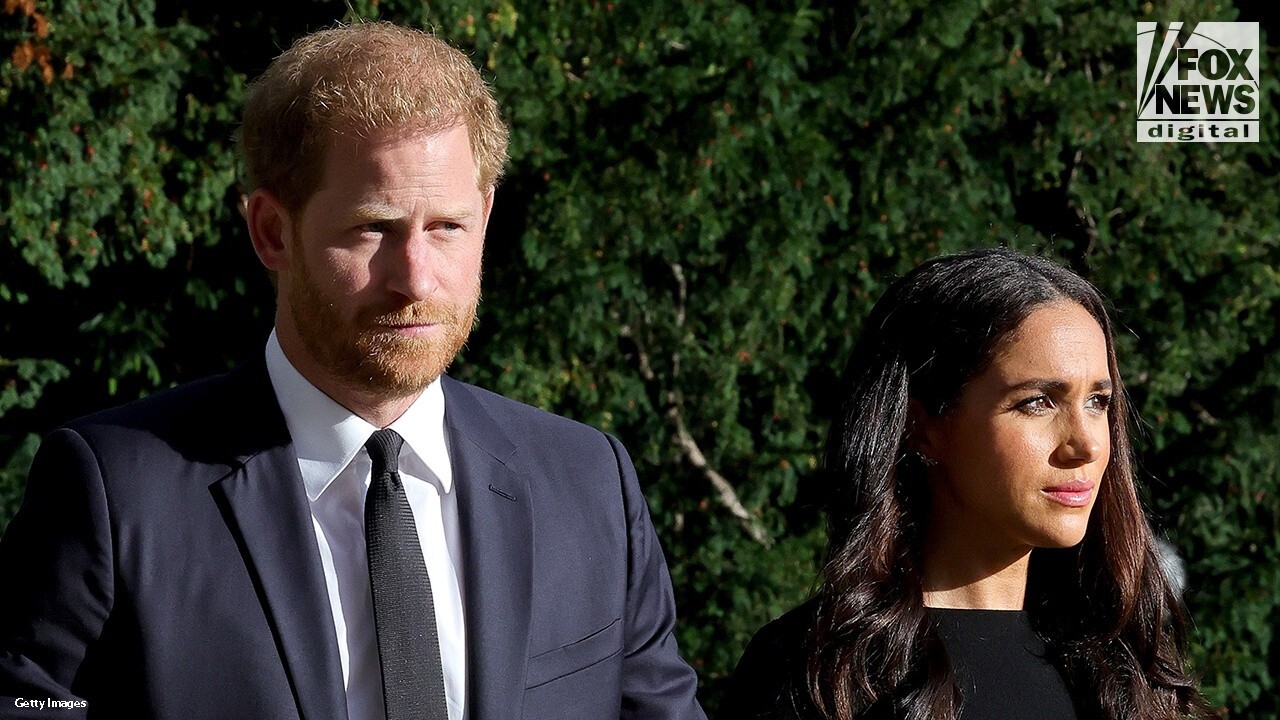 Meghan Markle and Prince Harry acted like 'a couple of teenagers,' palace sources allege in explosive new book