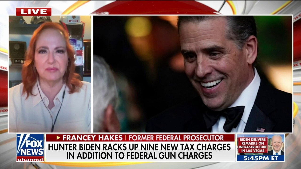 Hunter Biden has ‘utter contempt’ for the law: Francey Hakes