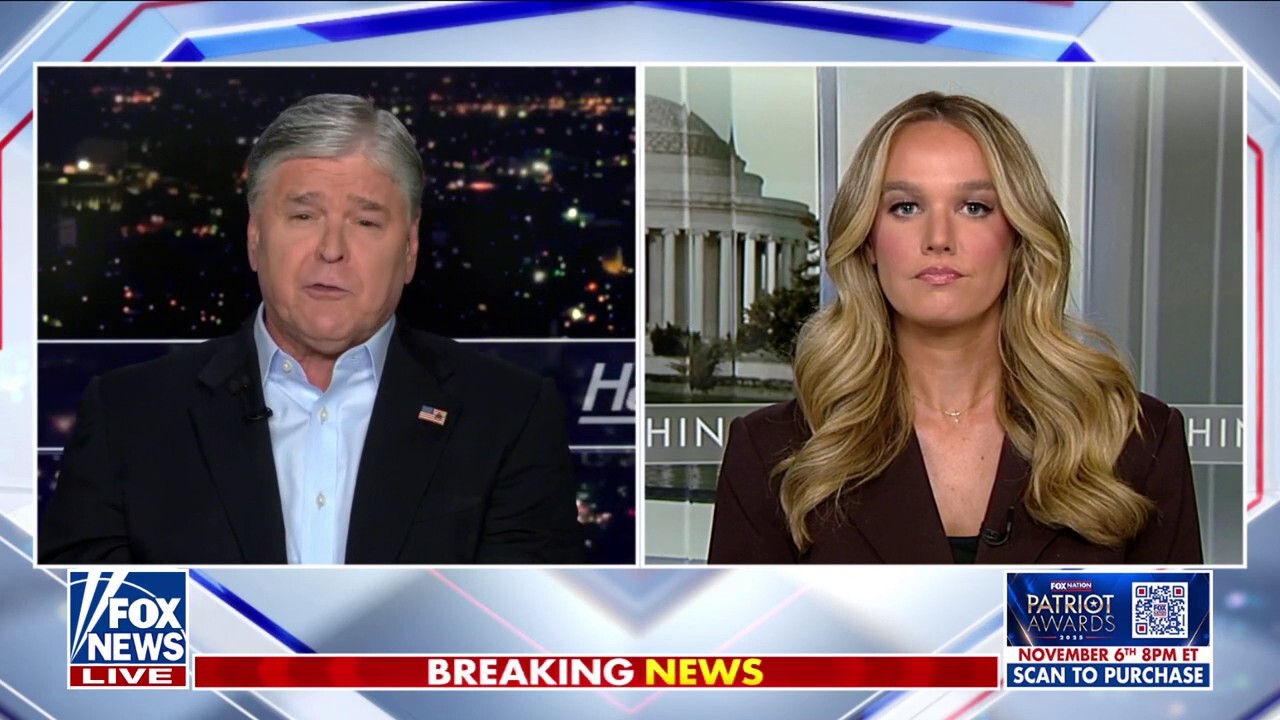 Obama ‘should be thanking’ law enforcement for removing violent actors: Tricia McLaughlin