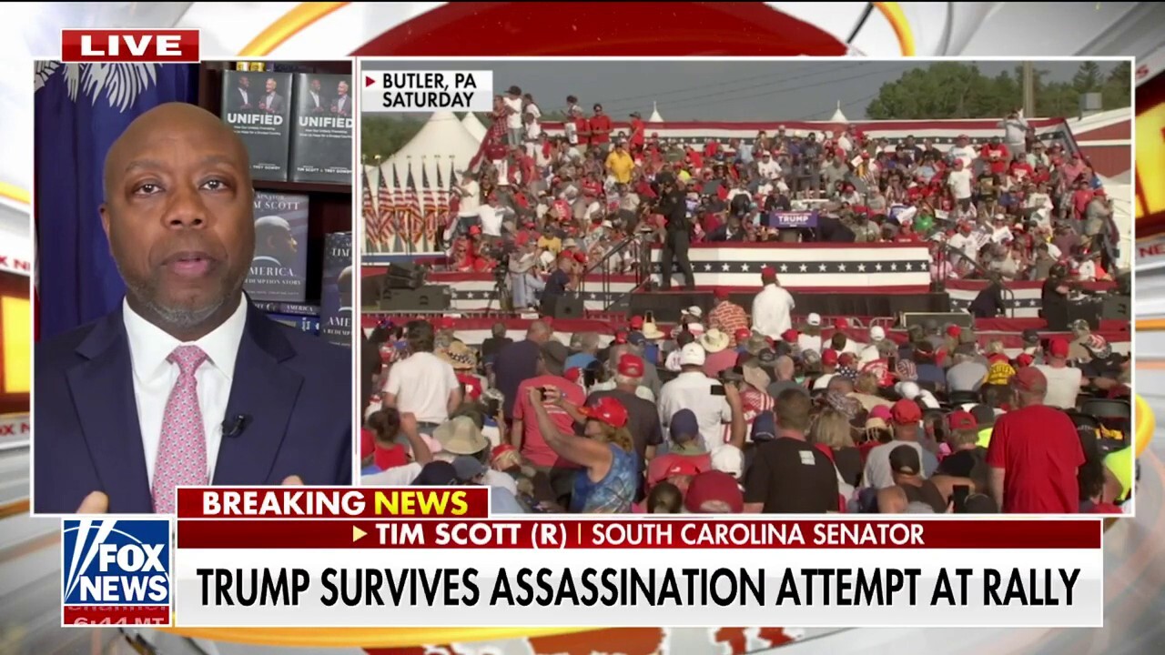 Tim Scott blasts left-wing media, Dem Party's 'disgusting' behavior towards Trump