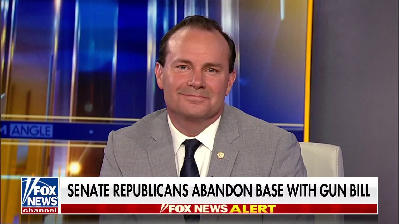 Senators only given moments to read gun bill before voting on it: Sen Mike Lee