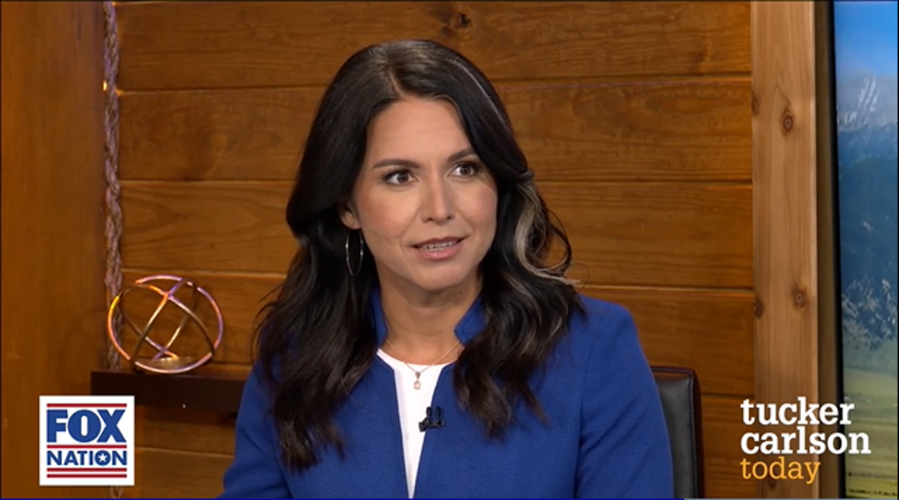 Tulsi Gabbard to Tucker Carlson: Going against political 'grain' gets you 'silenced and censored'