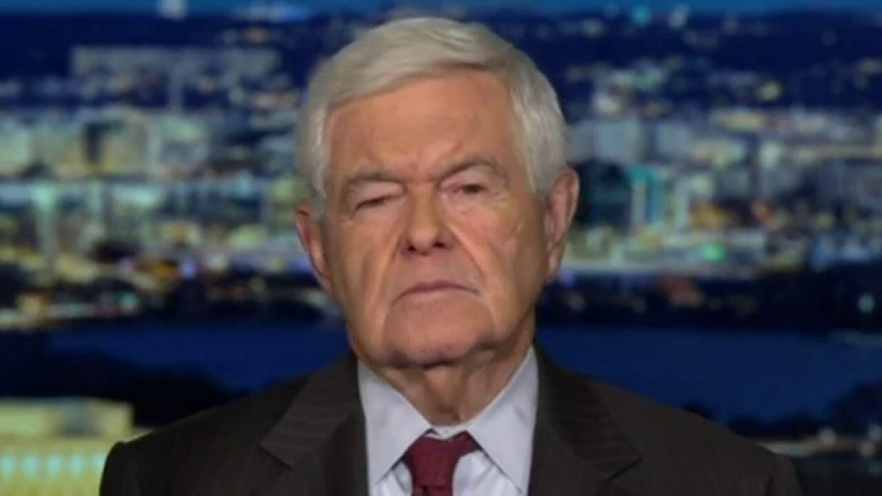 Gingrich: House GOP must urgently seat new speaker