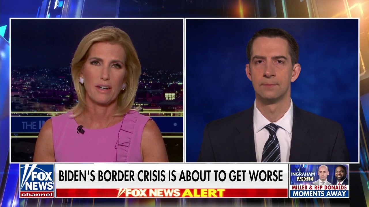 Tom Cotton slams Biden for using strategic oil reserves: ‘This is not just a gimmick, it’s dangerous’