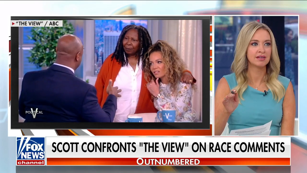 Tim Scott earns praise after leaving liberal 'View' host 'speechless' with 'undeniable facts'