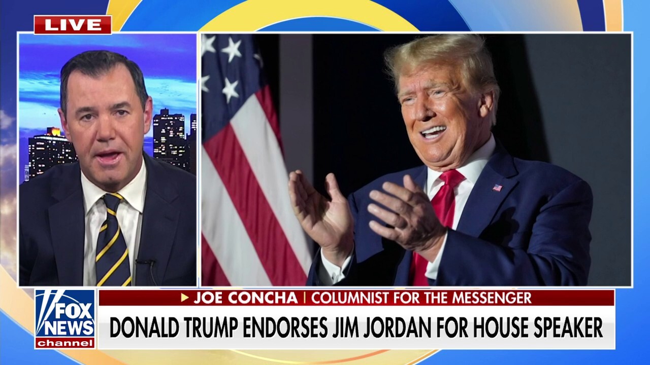 Donald Trump endorses Jim Jordan as House speaker