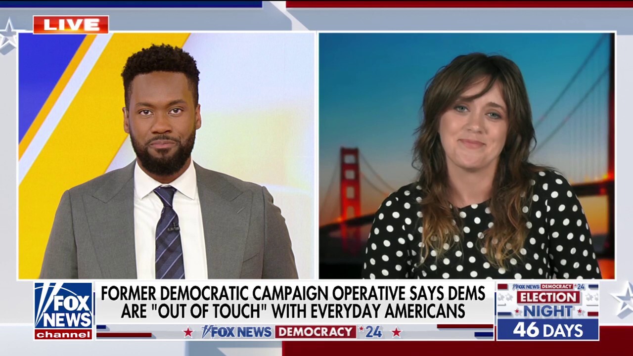 Former Democratic campaign operative calls out party's hypocrisy: 'I'm tired of it'