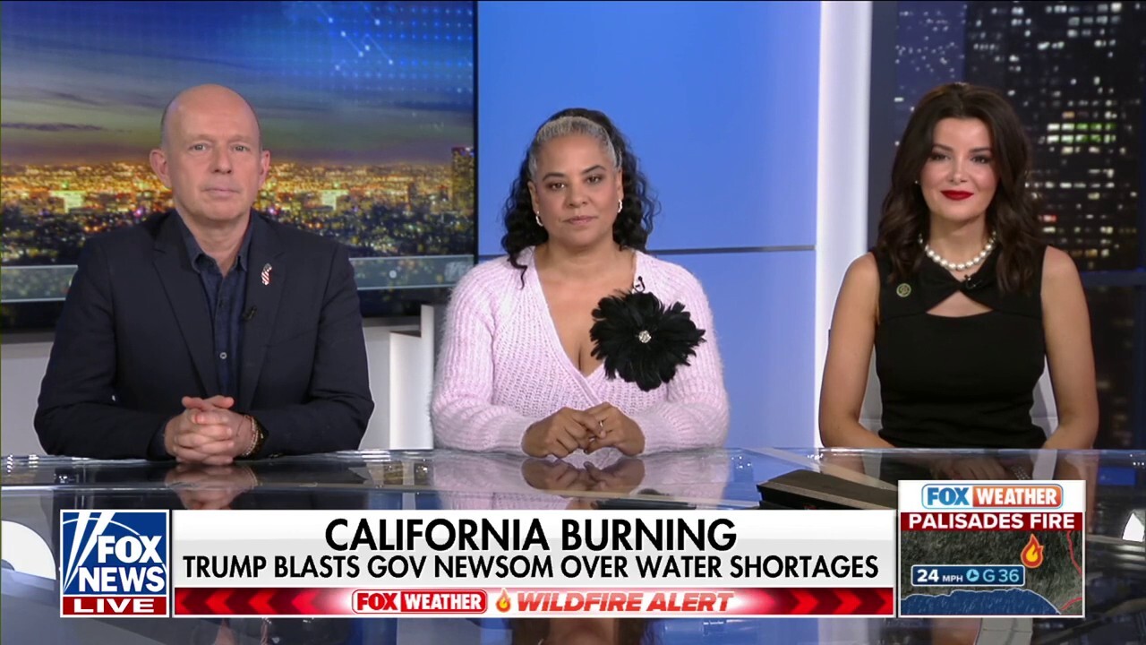 LA Mayor Bass ‘failed’ the city, Kira Davis says: Whatever she says is ‘meaningless’