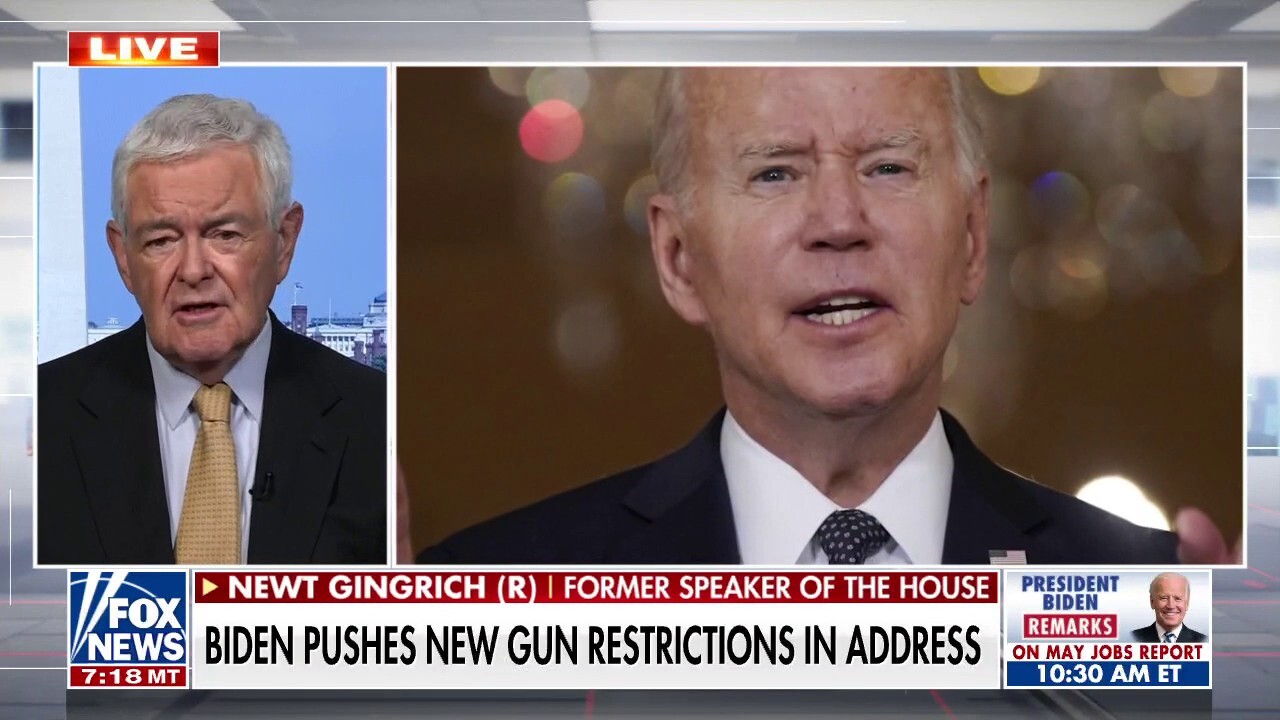 Newt Gingrich: The left refuses to talk about who commits most gun crimes