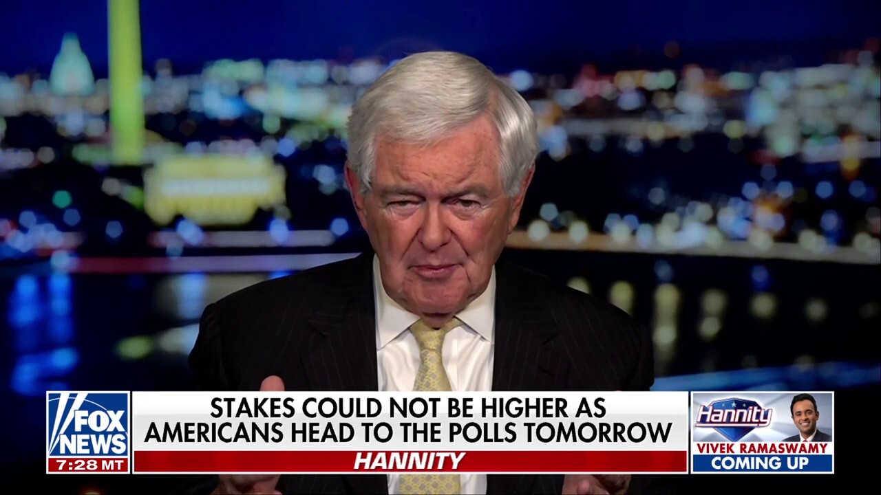 Newt Gingrich blasts Kamala Harris, says she is both ‘out of touch with reality’ and ‘incompetent’